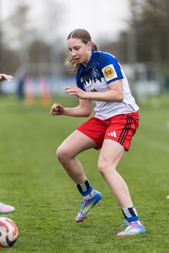 Bild 178 - wBJ Hamburger SV - Eimsbuettler TV : Ergebnis: 4:0